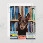 De Librarian Briefkaart (Voorkant / Achterkant)