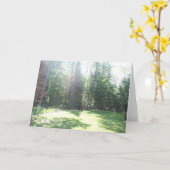 De Lichte Kaart van de ochtend (Gele Bloem)