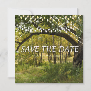De Lichten van het koord, Vreflieren sparen de Kaa Save The Date