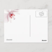 De liefde is… briefkaart (Achterkant)