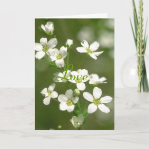 De Liefde van bloemen Kaart