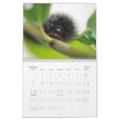 De liefde van buik kalender (Mar 2027)