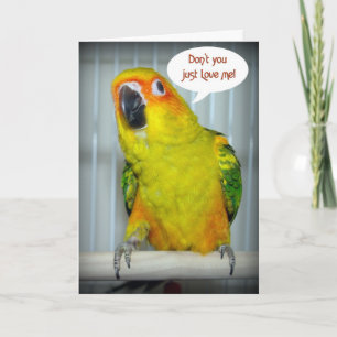 De Liefde van Conure van de zon Feestdagen Kaart