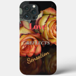 De Liefde van de valentijn wijst op Sensatie iPhone 13 Pro Max Hoesje