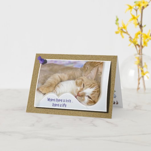 De Liefde van het kat Kaart (Gele Bloem)