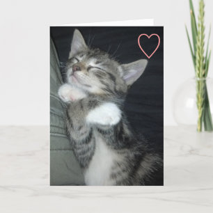 De Liefde van het katje Feestdagen Kaart