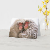 de liefde verovert allen kaart (Gele Bloem)