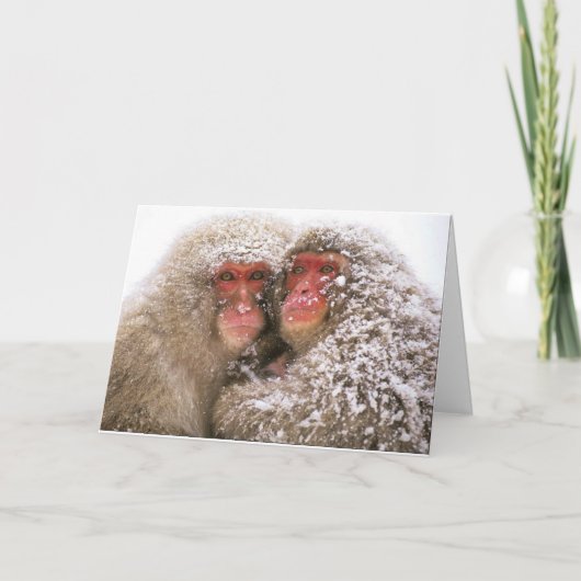 de liefde verovert allen kaart (Voorkant)