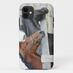 De liefdespaarden iPhone 11 hoesje