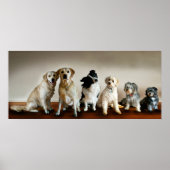 De lijn omhoog poster (Voorkant)