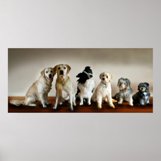 De lijn omhoog poster