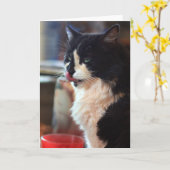 De Likken van Chloe Kaart (Gele Bloem)