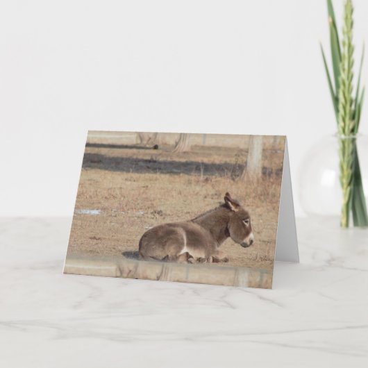 De Lonely Donkey Kaart (Voorkant)