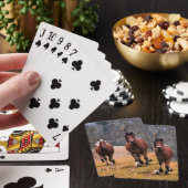 De looppaarden zijn de leider pokerkaarten (Insitu)