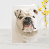De loyale Witte Foto van de Buldog Kaart (Gele Bloem)