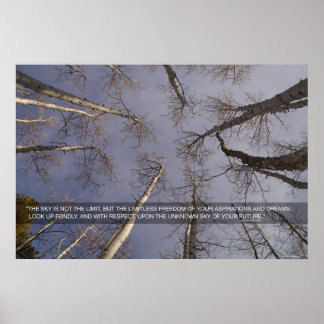 De lucht is niet de grens... poster