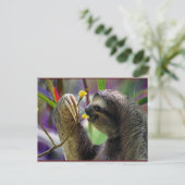 De Luiaard van de Boom drie-Toed Briefkaart (Staand voorkant)