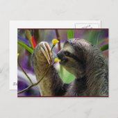 De Luiaard van de Boom drie-Toed Briefkaart (Voorkant / Achterkant)