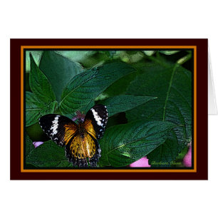 De luipaard (Cethosia cyane): Vlinder