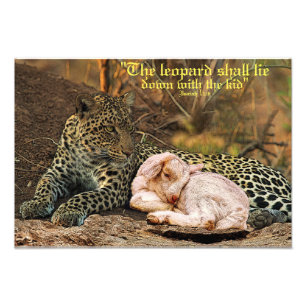 De luipaard zal met kind-Isaiah 11 liggen Foto Afdruk