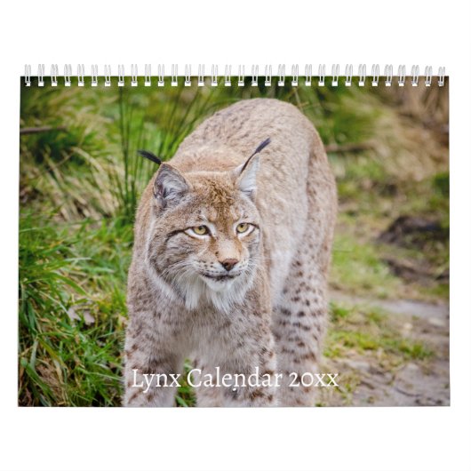 De Lynx Wildlife Calendar Kalender (Hoes)