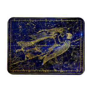 de maagd constellation magnet magneet