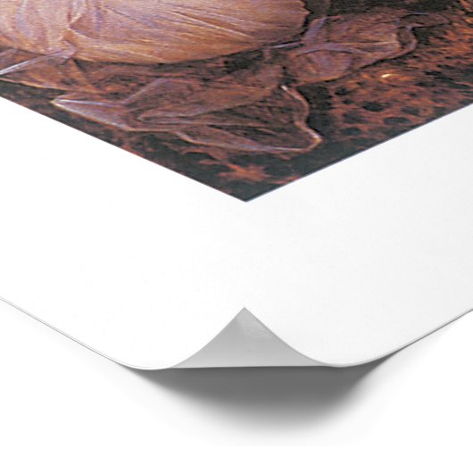 De Maagd en het Kind met Saint Elizabeth Poster (Hoek)