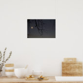 De Maan & Mercurius Poster (Keuken)