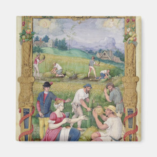 De maand augustus: De oogst Magneet