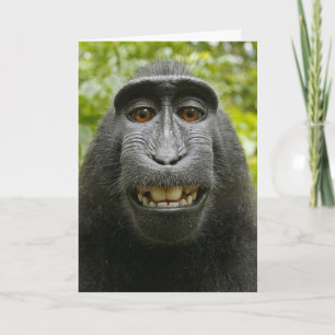 De Macaque Monkey Valentijn Kaart