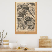 De Macaw Poster (Keuken)