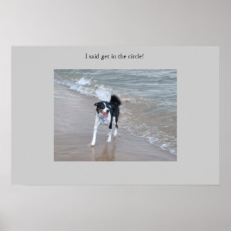 De machtige Collie Poster