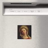 De Madonna Magneet (Insitu (Vaatwasser))