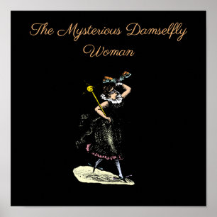 De magische damselfvrouw poster
