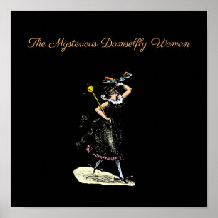 De magische damselfvrouw poster