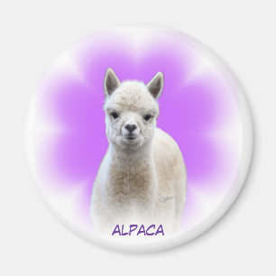 De Magneet van de Hoop van de alpaca