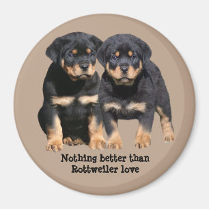 De Magneet van de Vrienden van Rottweiler