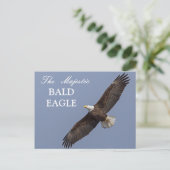 De Majestic Bald Eagle Briefkaart (Staand voorkant)