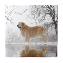 De Majestic Golden Retriever