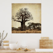 DE MAJESTISCHE BAOBAB TREE VAN AFRIKA POSTER (Keuken)
