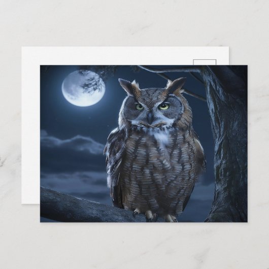 De majestueuze uil briefkaart (Voorkant / Achterkant)