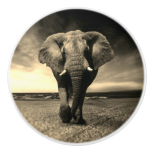De majestueuze Wilde Olifant van de Stier in Sepia Keramische Knop