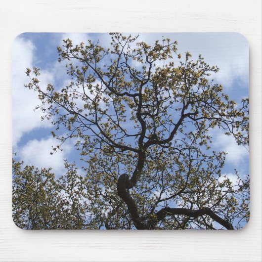 De majoor eikel muismat (Voorkant)