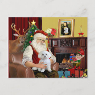 De Maltese van Sinterklaas Feestdagenkaart
