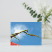 De Mantis Briefkaart (Staand voorkant)