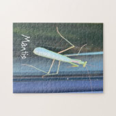 De Mantis Legpuzzel (Horizontaal)