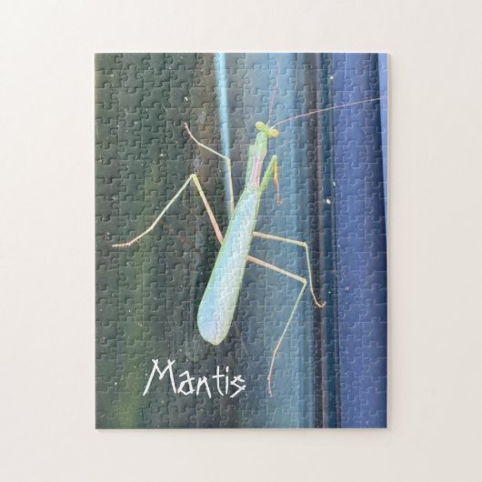 De Mantis Legpuzzel (Verticaal)