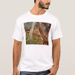 De marinepools volgen in Zion National T-shirt