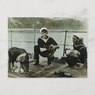 De Mascots  WWII Sailor Rooster Pig Briefkaart