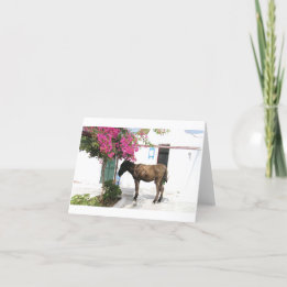 de Mascotte Opa van de Ezel van Kaart